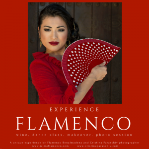Flamenco Costa del sol